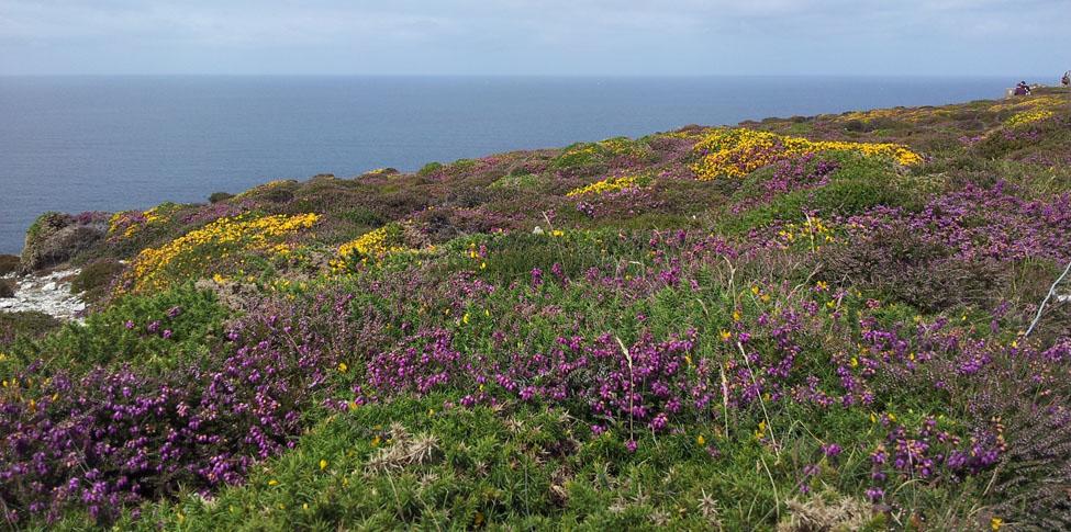 Camping en Bretagne